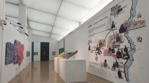 視覺關注 青春正好,國內各大美術院校畢業展來襲